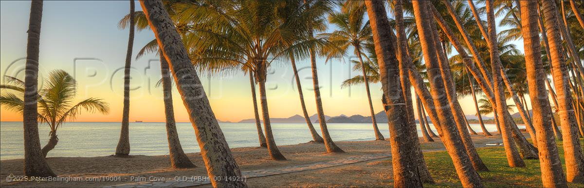Peter Bellingham Photography Palm Cove - QLD (PBH4 00 14921)